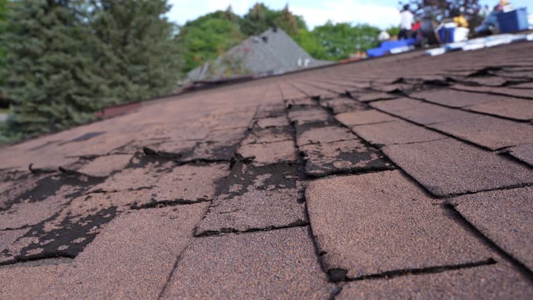 Best Flat Roofing  in New Burlington, OH
